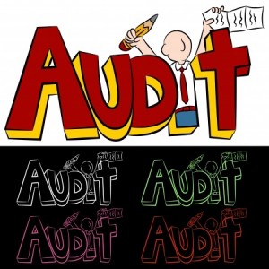 Irs Audit